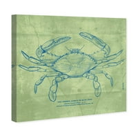 Авенија на пистата Наутичка и крајбрежна wallидна уметност платно го отпечати „Заедничкиот сина рак“ морски живот - зелена,