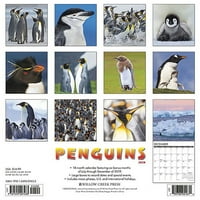 Willow Creek Press Penguins wallиден календар